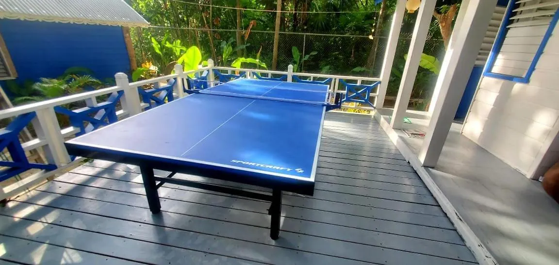Bak A Yaad Villa Negril