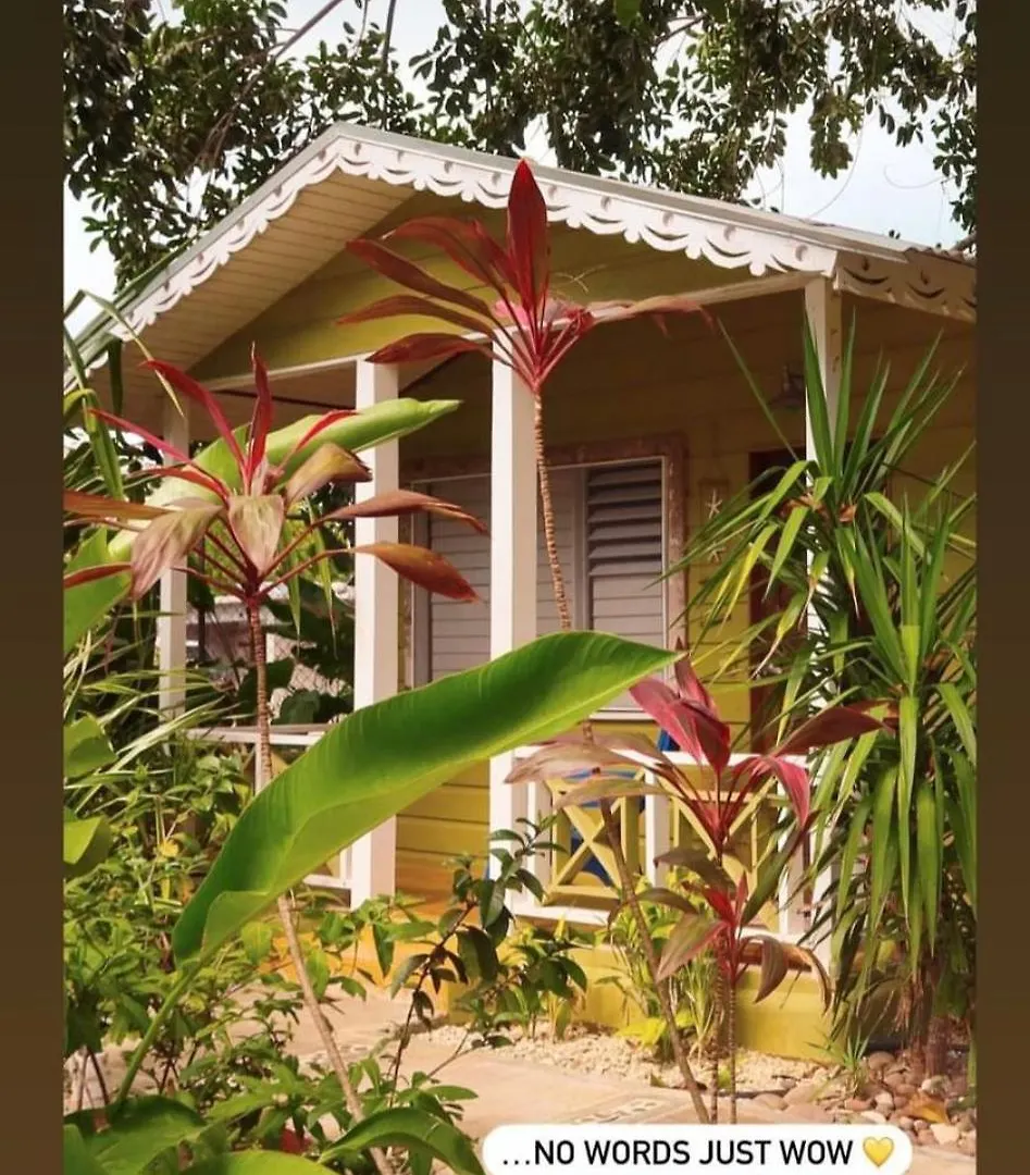 Bak A Yaad Villa Negril Jamaica